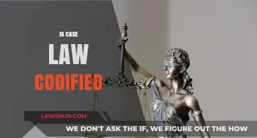 Case Law: Codified or Not?