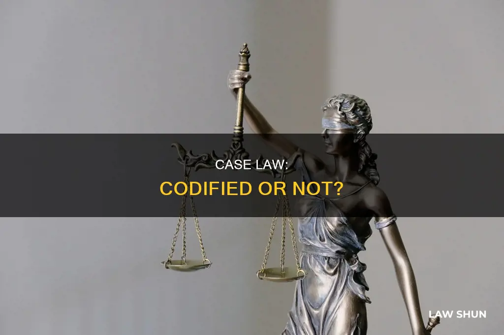 is case law codified