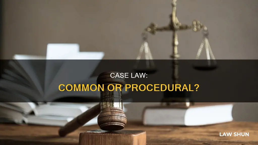 is case law common law or procedural