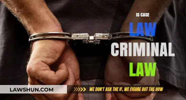 Case Law: Criminal Law's Evolution