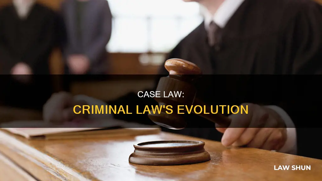 is case law criminal law