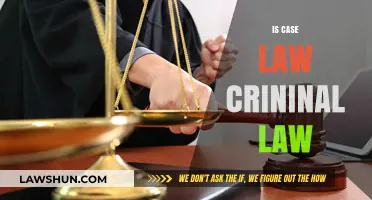 Case Law: Criminal Law's Foundation