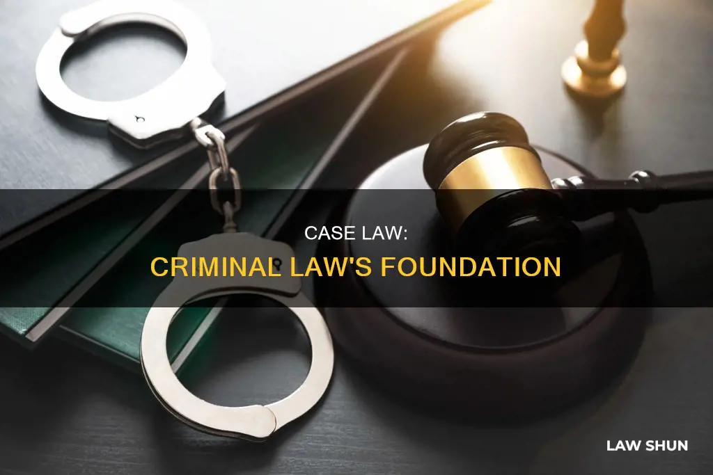 is case law crininal law
