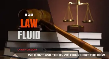 Case Law: Fluid or Static?