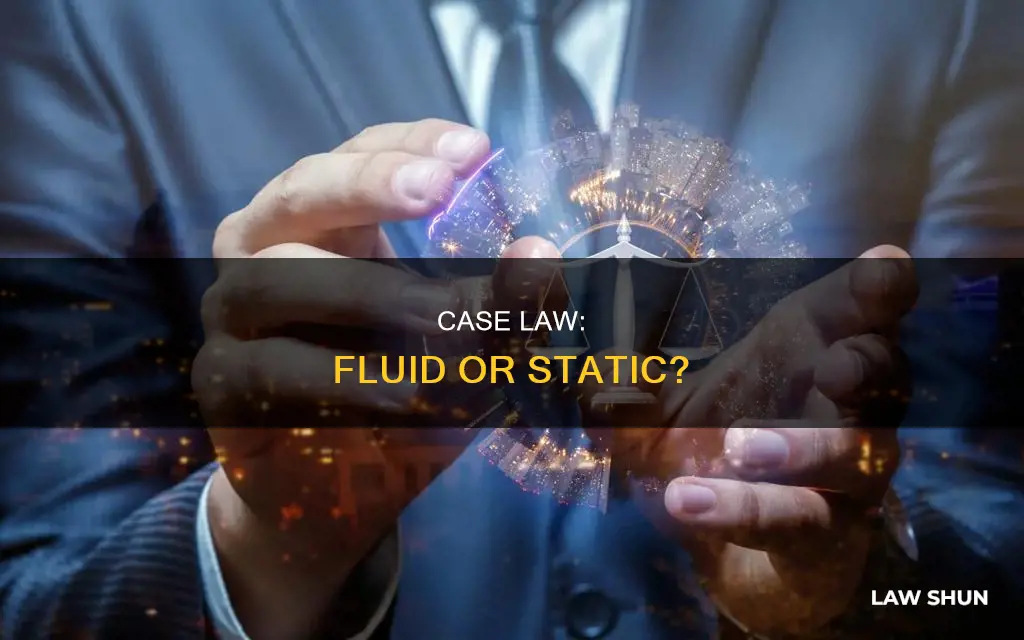 is case law fluid