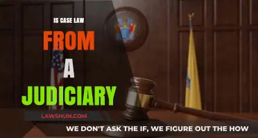 Case Law: Judiciary's Impact and Influence
