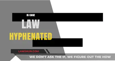 Case Law Hyphenation: When to Use It