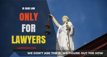 Case Law: Why It's Not Just for Lawyers