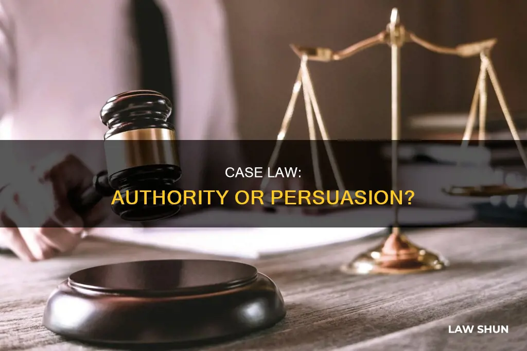is case law persuasive authority