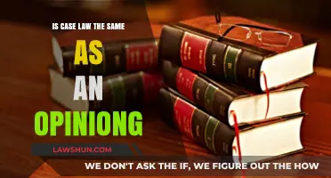Case Law vs. Opinion: What's the Difference?