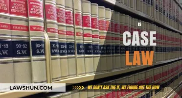 Case Law: Understanding the Legal System's Building Blocks