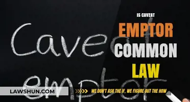 The Evolution of Caveat Emptor in Common Law