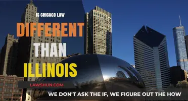 Chicago Law: Unique or Illinois Duplicate?