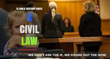 Child Custody Cases: Civil Law's Emotional Battlefield