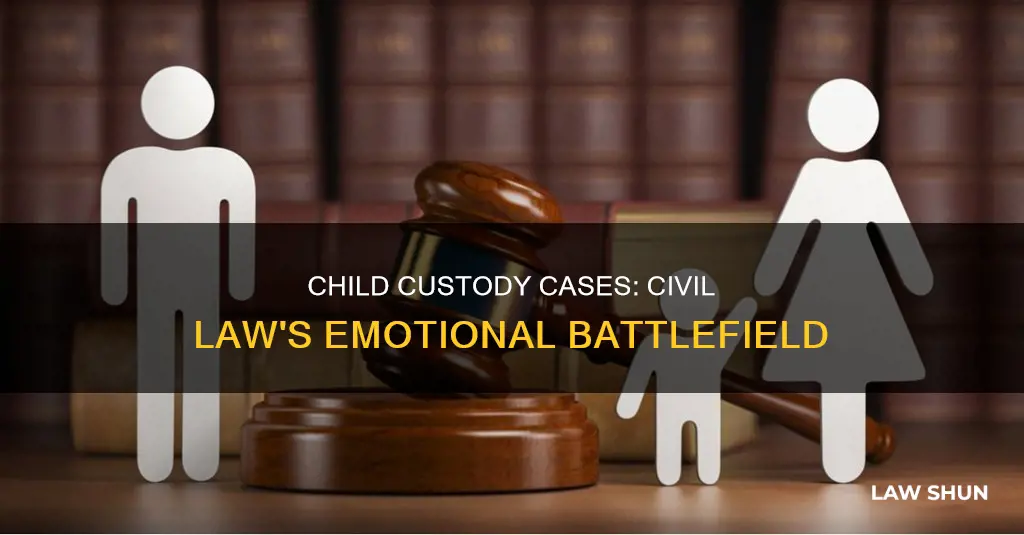 is child custody cases a civil law