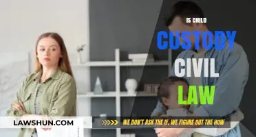 Understanding Child Custody: Is It Governed by Civil Law?