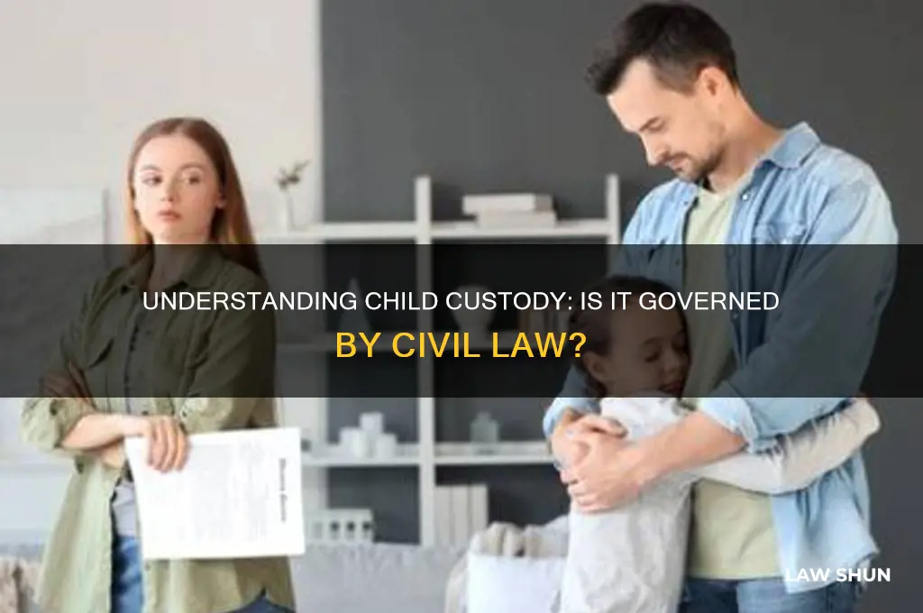 is child custody civil law