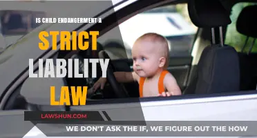 Is Child Endangerment a Strict Liability Offense? Legal Insights