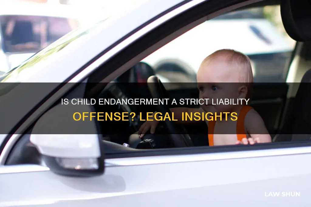 is child endangerment a strict liability law