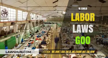 Child Labor Laws: Protecting Rights or Limiting Opportunities?
