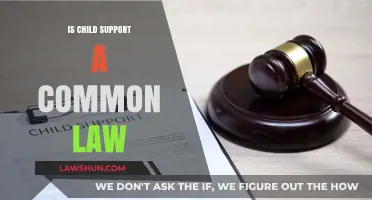 Child Support: A Common Law Obligation?