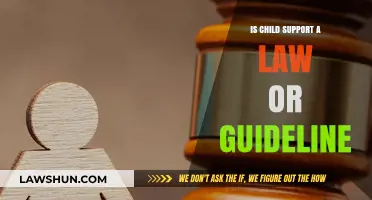 Understanding Child Support: Legal Obligation or Flexible Guideline?