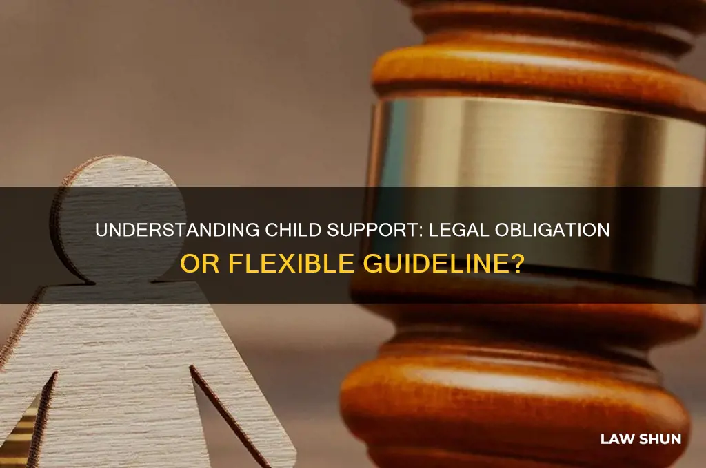 is child support a law or guideline
