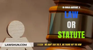 Understanding Child Support: Legal Obligation or Statutory Requirement?