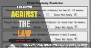 Is Child Support Against the Law? Understanding Legal Obligations