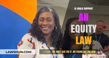 Is Child Support an Equity Law? Understanding Fairness in Family Obligations