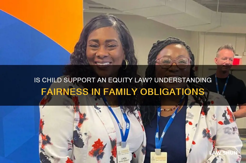 is child support an equity law