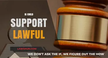 Is Child Support Lawful? Understanding Legal Obligations and Rights
