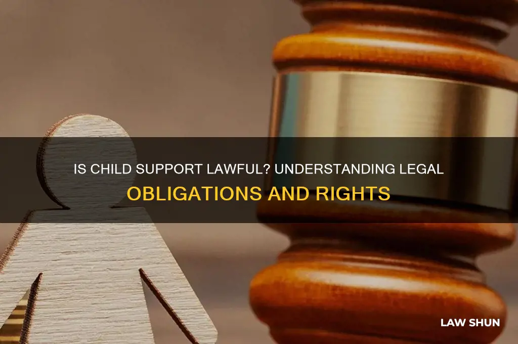 is child support lawful