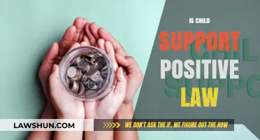 Is Child Support Positive Law? Exploring Its Impact and Legality