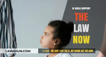 Is Child Support Legally Mandatory? Understanding Current Laws and Obligations
