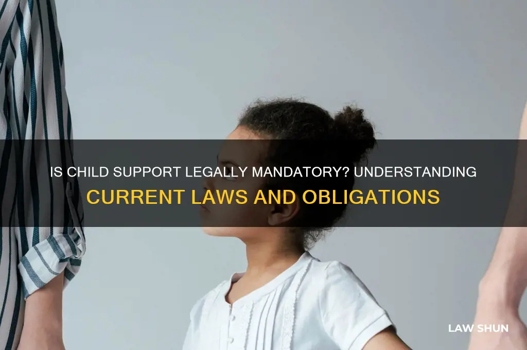 is child support the law now