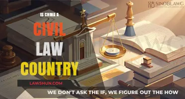 Understanding China's Legal System: Civil Law or Something Unique?