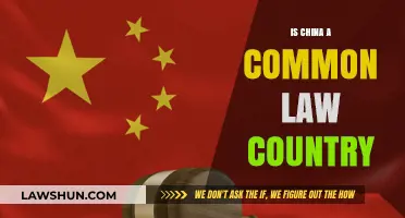 The Evolution of Chinese Law: Common or Civil?