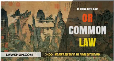 Civil or Common Law: China's Legal System