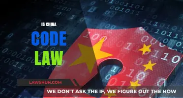 Is China's Legal System Based on Code Law? Exploring the Truth