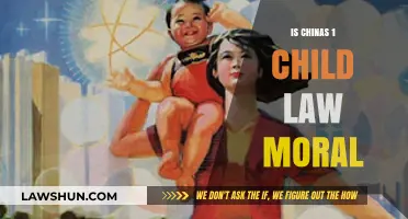 China's One-Child Policy: Ethical Dilemma or Necessary Measure?