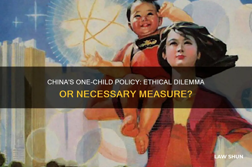 is chinas 1 child law moral