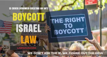 Schumer's Anti-Boycott Israel Law: Free Speech or Suppression?