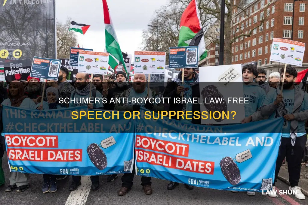 is chuck schumer creating an anti boycott israel law