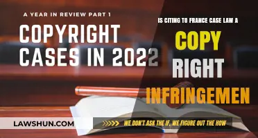 Citing French Case Law: Copyright Conundrum?