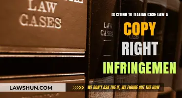 Citing Italian Case Law: Copyright Infringement?