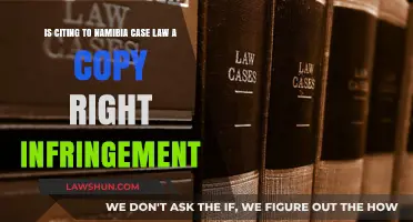 Citing Namibian Case Law: Copyright Conundrum?