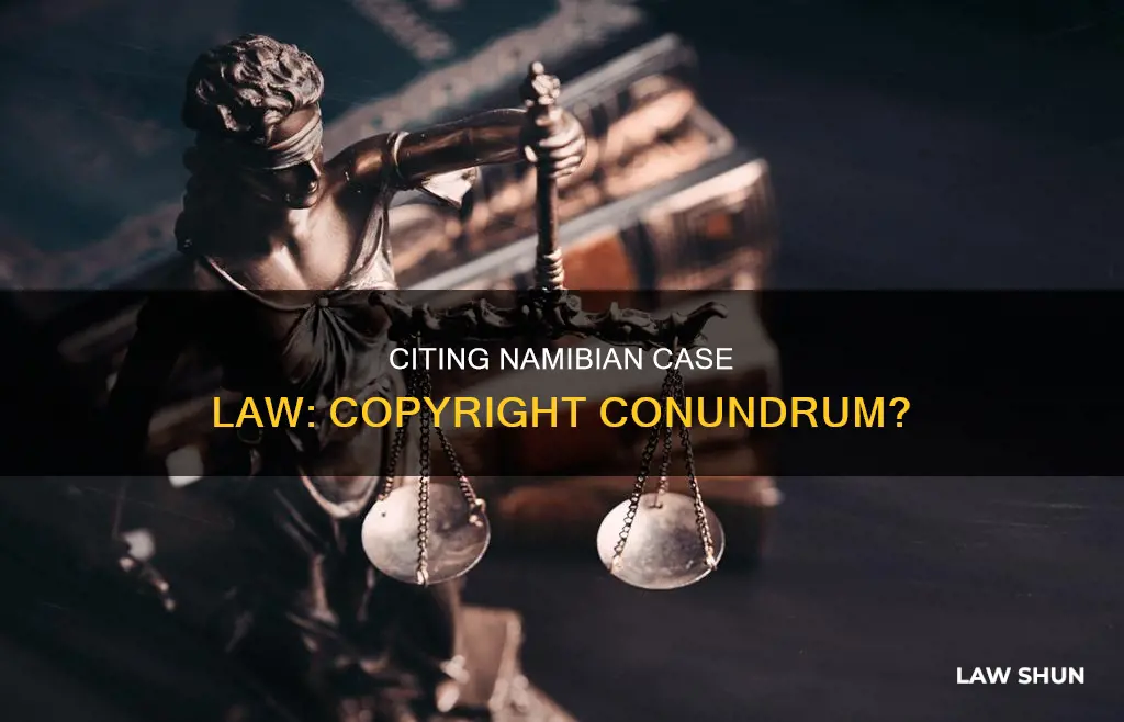 is citing to namibia case law a copy right infringement