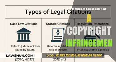 Citing Polish Case Law: Can It Be Copyright Infringement?