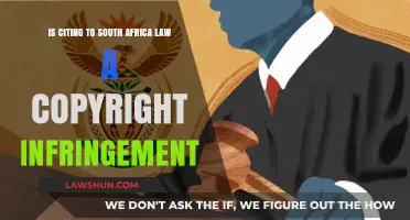 Citing South African Law: Copyright Infringement or Fair Use?